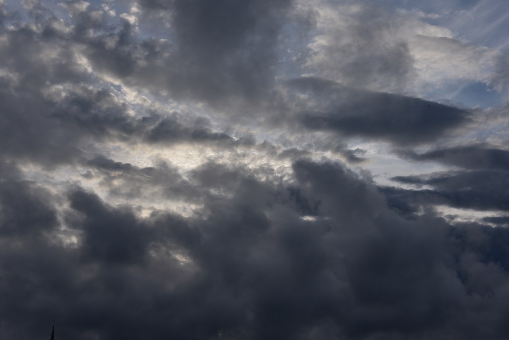 The Peace of Wild&nbsp;Things