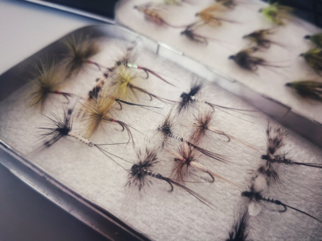 May, a present for&nbsp;me