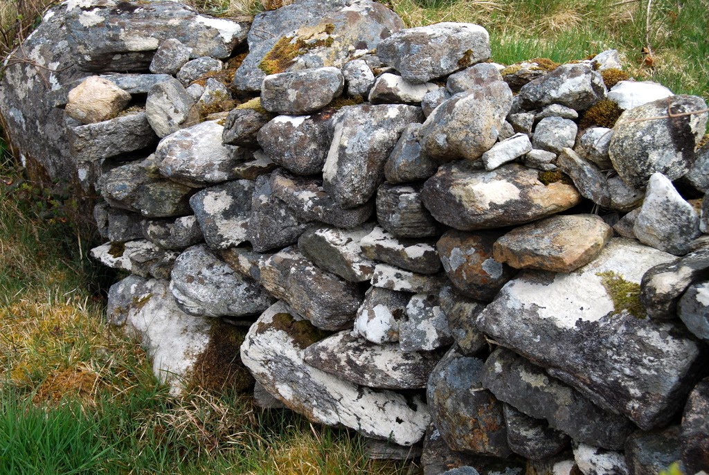 What Survives – Lacy M.&nbsp;Johnson