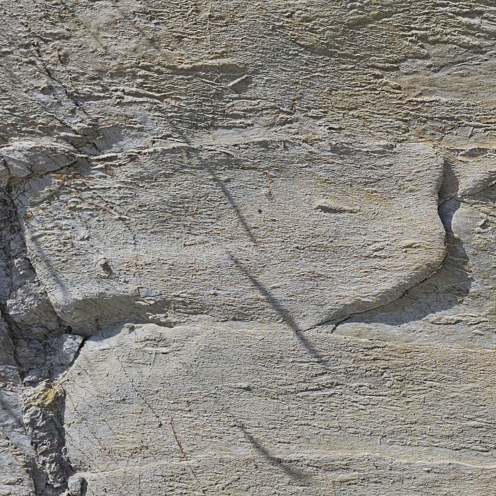 Spoke to the fish,&nbsp;finally