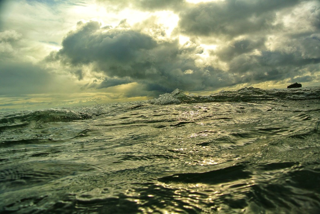 The dreamers disease