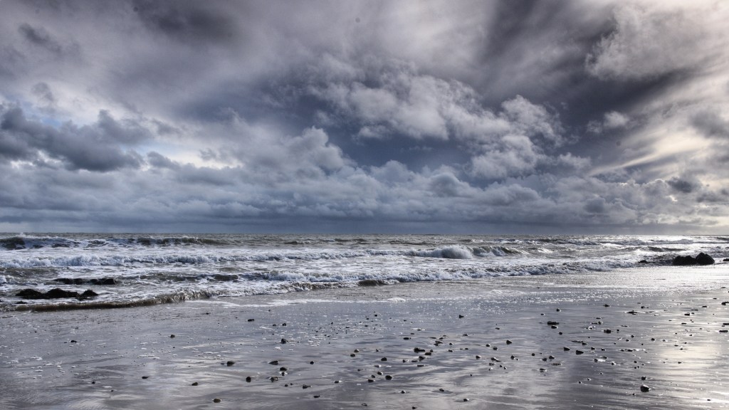 Saltwater Flyfishing Ireland