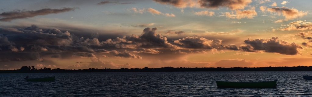 From Autumn Transition