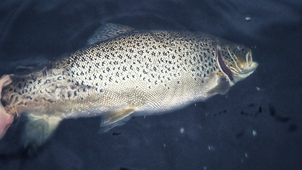 Two days in the&nbsp;valley