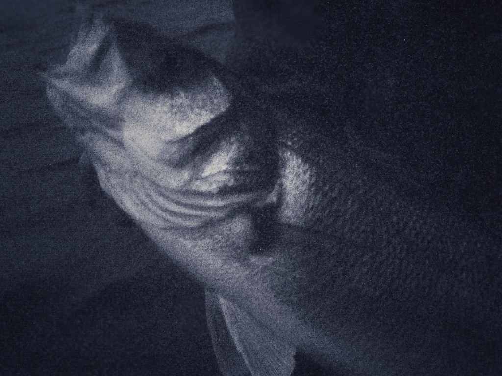 How many bass fishing Septembers&nbsp;left