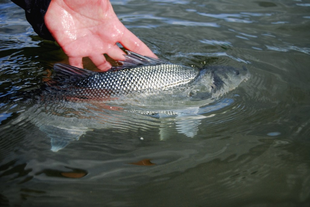 Not all the&nbsp;same