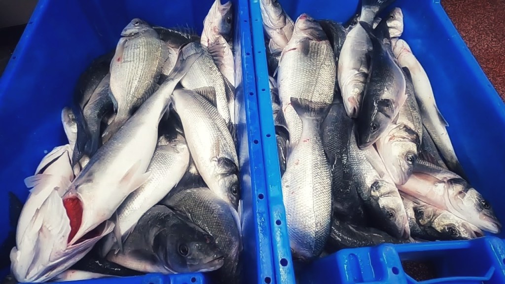 Greed again, thousands of&nbsp;tonnes…